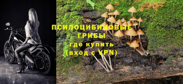 крисы Алзамай