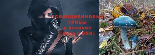 крисы Алзамай